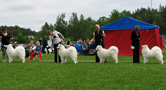 Kemi�, Arttulan BIS2-kasvattaja