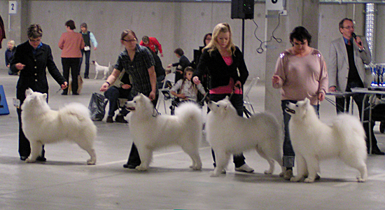 Arttulan kennel BIS2-kasvattaja