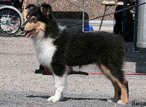 Elokuu 2010