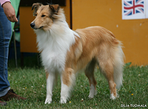 Elokuu 2010