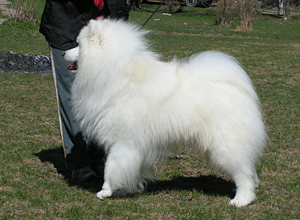 Toukokuu 09